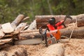 A lumberjack chainsaw and protection equipment inside an Italian forest Royalty Free Stock Photo