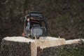 Lumberjack with chainsaw working in the forest