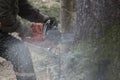 Lumberjack with chainsaw working in the forest