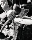 Lumberjack in the countryside