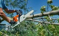 Lumberjack cuts a tree in the backyard of a chainsaw electric chain saw