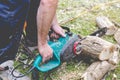 Lumberjack cuts a tree in the garden