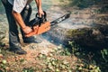 cutting fire wood using professional chainsaw Royalty Free Stock Photo