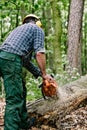 Lumberjack cutting tree Royalty Free Stock Photo