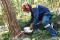 Lumberjack cutting tree in forest Royalty Free Stock Photo