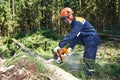 Lumberjack cutting tree in forest Royalty Free Stock Photo