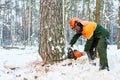 Lumberjack cutting tree in snow winter forest Royalty Free Stock Photo