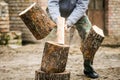 Lumberjack cutting wood Royalty Free Stock Photo