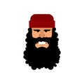 Lumberjack face. Woodcutter portrat. Head lumberman. Vector