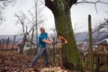 Lumberjack felling a big tree