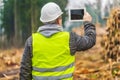 Lumberjack filmed piles of logs with tablet PC in forest Royalty Free Stock Photo