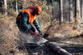 Lumberjack, forest work