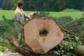 Lumberjack in forrest