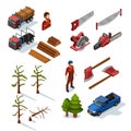 Lumberjack Isometric Icons Set