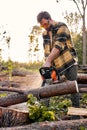 Lumberjack logger in protective gear cutting firewood timber tree in forest with chainsaw