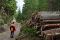 Lumberjack at a logpile
