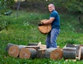 Lumberjack manhandling the beech logs Royalty Free Stock Photo