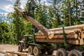 Lumberjack with modern harvester working in a forest. Wheel-mounted loader, timber grab. Forest industry Royalty Free Stock Photo