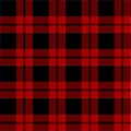 Lumberjack plaid pattern vector