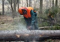 Lumberjack, tree cutting Royalty Free Stock Photo