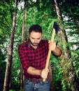 Lumberjack among the trees. Royalty Free Stock Photo