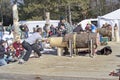 Lumberjack Two Man Bucksaw competition starting