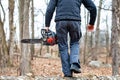 Lumberjack using a Gas-Powered Chain Saw cutting trees Royalty Free Stock Photo