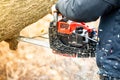 Lumberjack using a Gas-Powered Chain Saw cutting trees Royalty Free Stock Photo