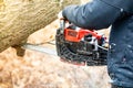 Lumberjack using a Gas-Powered Chain Saw cutting trees Royalty Free Stock Photo