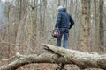 Lumberjack using a Gas-Powered Chain Saw cutting trees Royalty Free Stock Photo