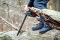 Lumberjack using a Gas-Powered Chain Saw cutting trees Royalty Free Stock Photo