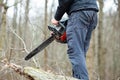 Lumberjack using a Gas-Powered Chain Saw cutting trees Royalty Free Stock Photo