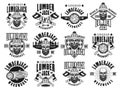 Lumberjack and woodworks vector vintage emblems Royalty Free Stock Photo
