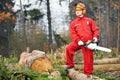 Lumberjack Worker With Chainsaw In The Forest Royalty Free Stock Photo