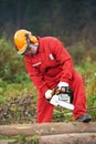 Lumberjack Worker With Chainsaw In The Forest Royalty Free Stock Photo