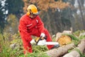 Lumberjack Worker With Chainsaw In The Forest