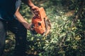 Lumberjack worker cutting firewood in forest with a professional chainsaw Royalty Free Stock Photo