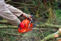 Lumberjack working with chainsaw Royalty Free Stock Photo