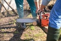 Lumberjack working with chainsaw, cutting wood Royalty Free Stock Photo