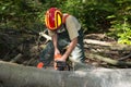 Lumberjack working in forest