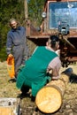 Lumberjacks hauling logs