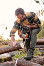 Lumberman in protective goggles sawing with chainsaw tree trunk in summer forest. Royalty Free Stock Photo