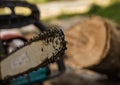 Lumberman using chainsaw sawing dry wood lying on ground.