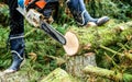 Lumberman with chainsaw cutting wood Royalty Free Stock Photo