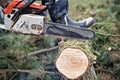 Lumberman with chainsaw cutting wood Royalty Free Stock Photo