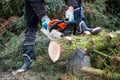 Lumberman with chainsaw cutting wood Royalty Free Stock Photo