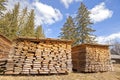 Lumberyard with canopied boards piles in a forest. Royalty Free Stock Photo