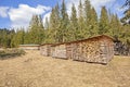 Lumberyard with canopied boards piles in a forest. Royalty Free Stock Photo
