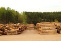 Lumberyard with stacks of logs Royalty Free Stock Photo