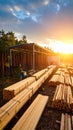 Lumberyard with stacks of wood logs and timber at sunset, forest industry and material processing Royalty Free Stock Photo